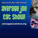 Average Joe Cat Show 2017