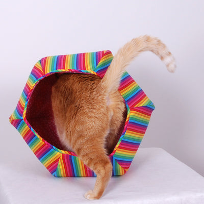 That Day We Were Getting Silly and Having Fun - Nyan Cat Ball