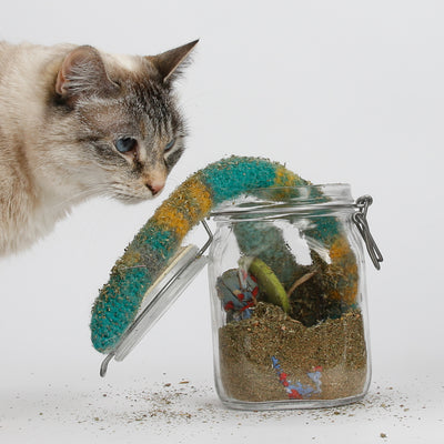 Staying Home With Your Cats - Catnip Marinade Jar