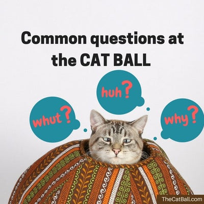 Common Questions About the Cat Ball