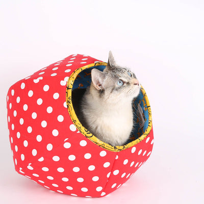 The Mini Size Cat Ball is Great for Kittens