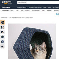 How To Get Friends and Family to Spoil Your Cat