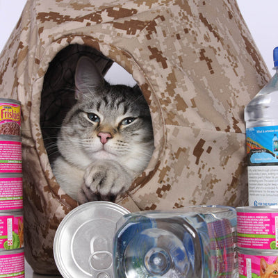 That Day We Were Getting Silly and Having Fun - The Prepper Cat's  Bugout Shelter