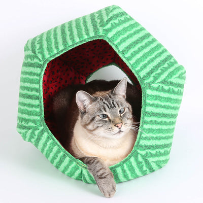 Watermelon Cat Ball