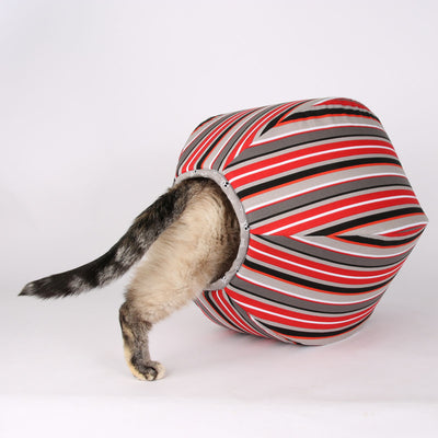 Cat Ball in Pirate Stripes and Sharks