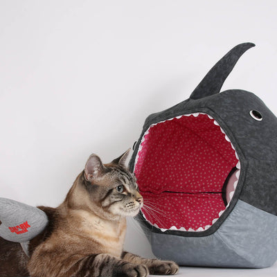 Cat Comes to Terms with Shark