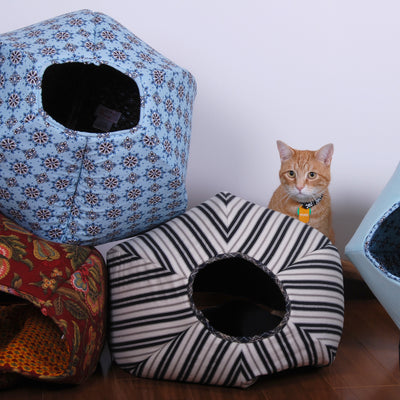 We Need Another Cat Ball!