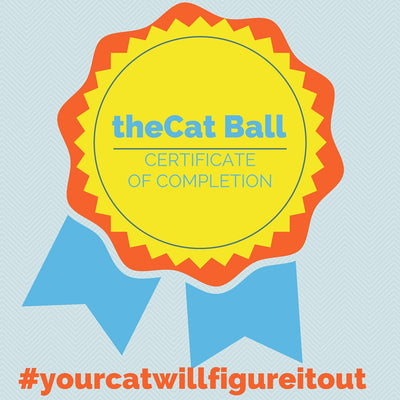 The Cat Ball Certificate and Gold Star