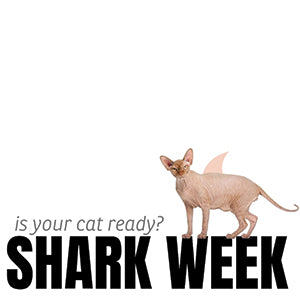 Shark Week Shark Facts