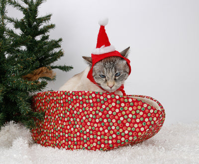 Cats Under the Christmas Tree
