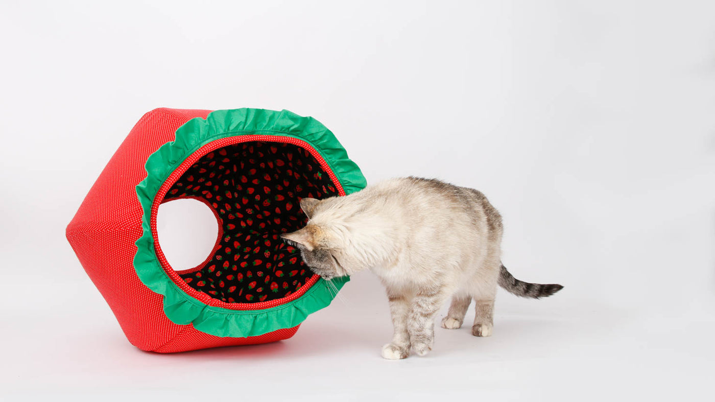 The strawberry Cat Ball® cat bed is a cute pet bed that looks like fruit. 