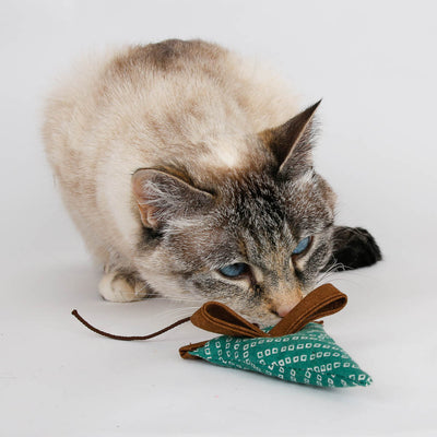 We use scrap fafrics to make our catnip mouse toys, filling the pointed nose with fresh, stinky catnip. Cats love these toys! 