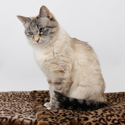 Cat sleeping mat made in a luxury faux fur, the color is a novelty leopard print